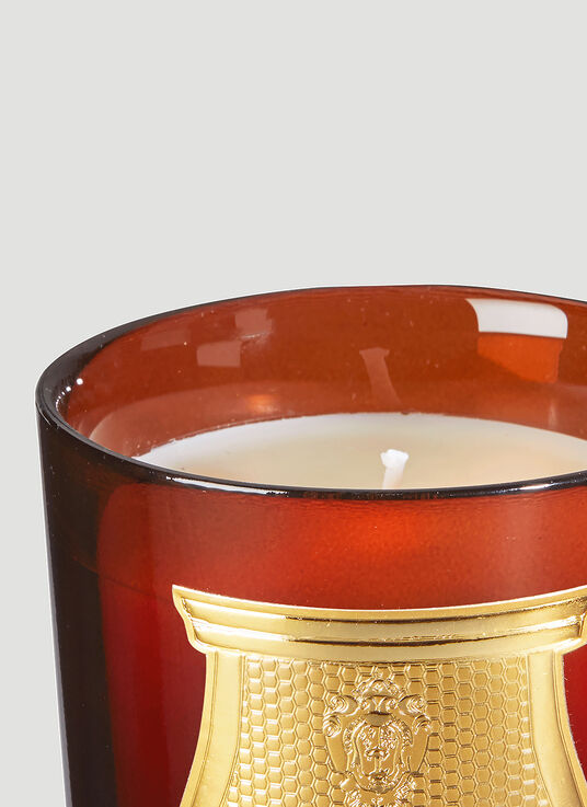 Cire Trudon Cire Candle  wps0642113red