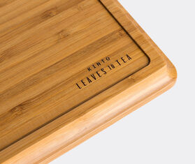 Kinto 'LT' tray BROWN KINT17LTT910BRW