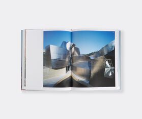 Flammarion &#39;Frank Gehry: The Masterpieces&#39; MULTICOLOUR FLAM23FRA503MUL