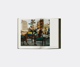 Taschen 'Bruce Weber. My Education' MULTICOLOUR TASC25BRU443MUL