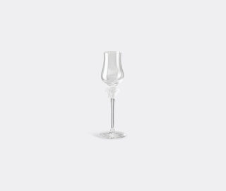 Rosenthal 'Medusa Lumiere' grappa glass TRANSPARENT ROSE22MED821TRA