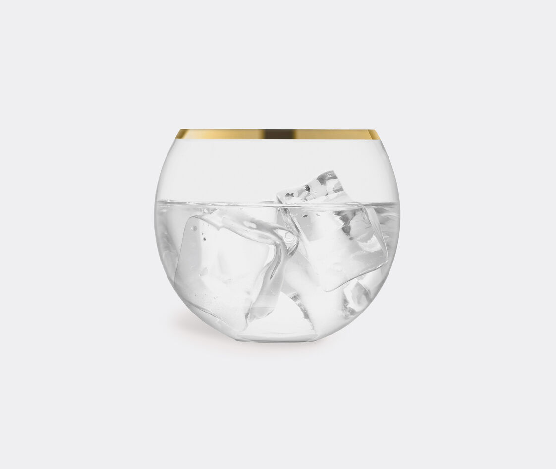 Shop Lsa International Glassware Gold 12