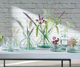 LSA International 'Canopy Trio' vase, set of three TRANSPARENT LSAI20CAN089TRA