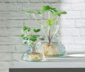 LSA International 'Canopy' vase, small TRANSPARENT LSAI20CAN201TRA