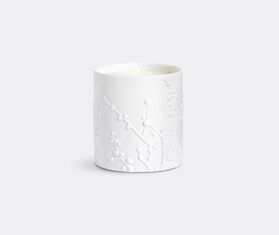 L&#39;Objet &#39;Beausoleil&#39; scented candle, white and gold MULTICOLOUR LOBJ25BEA734MUL