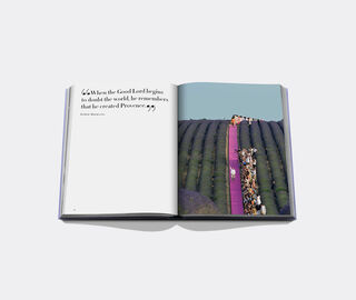 Assouline 'Provence Glory' PURPLE ASSO21PRO821PUR