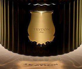 Trudon &#39;Ernesto&#39; reed diffuser GREEN CITR21ERN318GRN