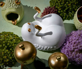 L'Objet 'Haas Butts Up' box WHITE LOBJ22HAA262WHI