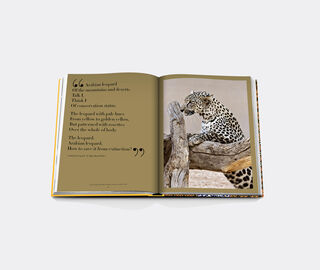 Assouline 'Arabian Leopard' MULTICOLOUR ASSO22ARA794MUL