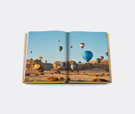 Assouline 'Alula Ever' MULTICOLOUR ASSO22ALU562MUL