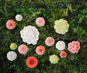 Bordallo Pinheiro 'Maria Flor' dessert plate, set of four, orange MULTICOLOR BOPI26MAR927MUL