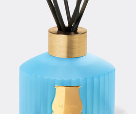 Trudon 'Versailles' reed diffuser, 350ml LIGHT BLUE CITR24VER846LBL