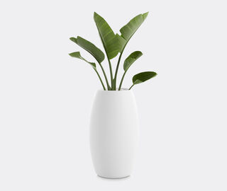 Diabla 'Gobi 2' planter WHITE DIAB20GOB744WHI