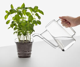 Ichendorf Milano 'Boboli' vase TRANSPARENT ICMI19BOB407TRA