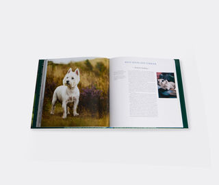 Rizzoli International&nbsp;Publications 'Country Life's Book Of Dogs' MULTICOLOUR RIZZ25COU446MUL