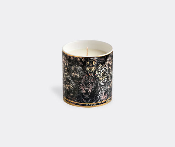 Roberto Cavalli Home 'Queen Of Arizona' scented candle undefined ${masterID}