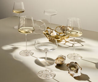 Nude 'Splash' white wine glass, set of two, clear TRANSPARENT NUDE26SPL367TRA
