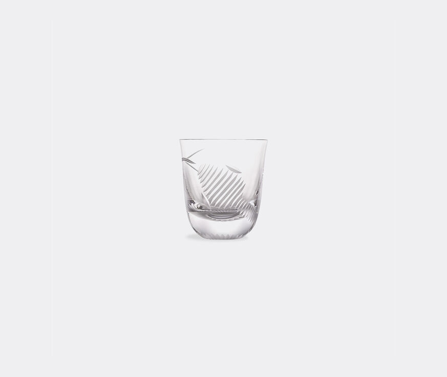 Rückl 'Wilde' whiskey glass, set of two  RUCK20SET677TRA