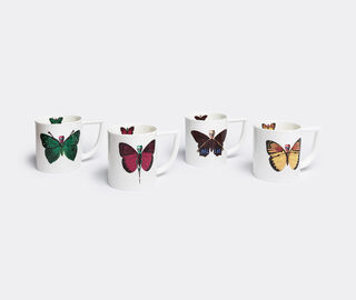 The New English 'Lepidoptera Croceus' mug WHITE TNEN17LEP894WHI