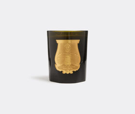 Trudon 'Ernesto' candle, great GREEN CITR21ERN059GRN