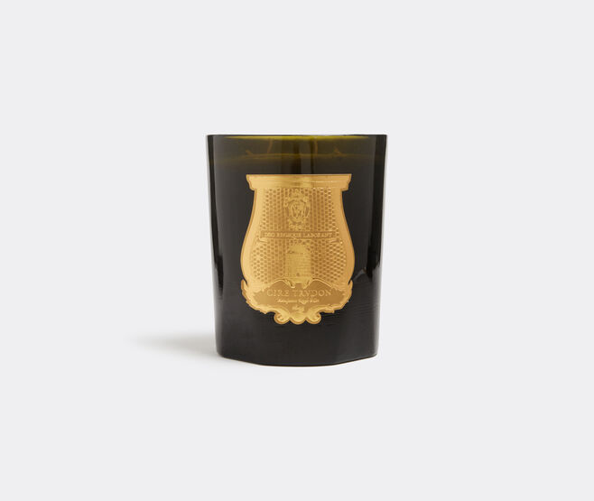 Trudon 'Ernesto' candle, great GREEN CITR21ERN059GRN