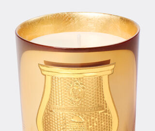 Trudon 'Galerie des Flammes' scented candle, small, gold GOLD CITR26GAL237GOL
