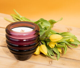 KLIMCHI 'Rose Lush' candle PURPLE KLIM22CAN135PUR