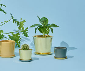 Hay 'Botanical' family pot, extra large BRASS HAY118BOT296BRA