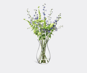LSA International 'Flower Tall Posy' vase TRANSPARENT LSAI20FLO429TRA