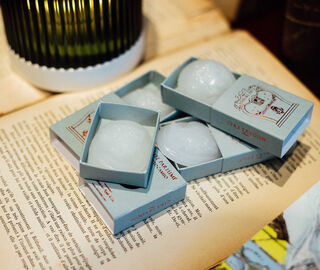Trudon 'Odalisque' wax cameos, set of four PINK CITR20CAM042PIN
