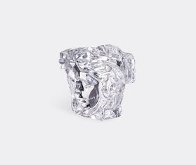 Rosenthal 'Medusa Grande' vase TRANSPARENT ROSE21691313TRA