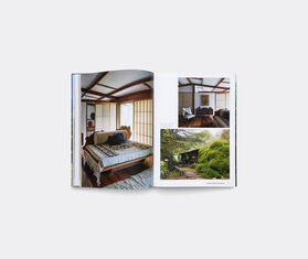 Gestalten &#39;American Icons Vol. 2&#39; MULTICOLOUR GEST25AME347MUL