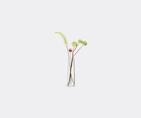 LSA International 'Stems' vase, large TRANSPARENT LSAI20STE388TRA