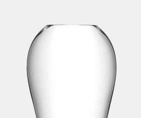 LSA International 'Flower Grand Bouquet' vase TRANSPARENT LSAI20FLO856TRA