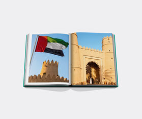 Assouline 'Abu Dhabi Bright' MULTICOLOUR ASSO25ABU440MUL