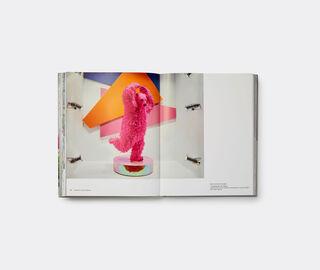 Phaidon 'Paola Pivi' MULTICOLOUR PHAI22PAO377MUL