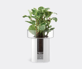 LSA International 'Terrazza' planter, clear and chalk white, small TRANSPARENT LSAI22TER245TRA