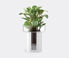 LSA International 'Terrazza' planter, clear and chalk white, small Clear LSAI22TER245TRA