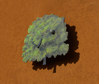 Domeniconi 'Albero' cuckoo clock, green GREEN DOME25CUC467GRN