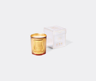 Trudon 'Galerie des Flammes' scented candle, small, gold GOLD CITR26GAL237GOL
