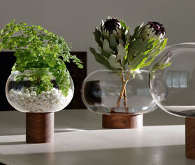 LSA International &#39;Oblate&#39; vase, wide TRANSPARENT LSAI21OBL721TRA