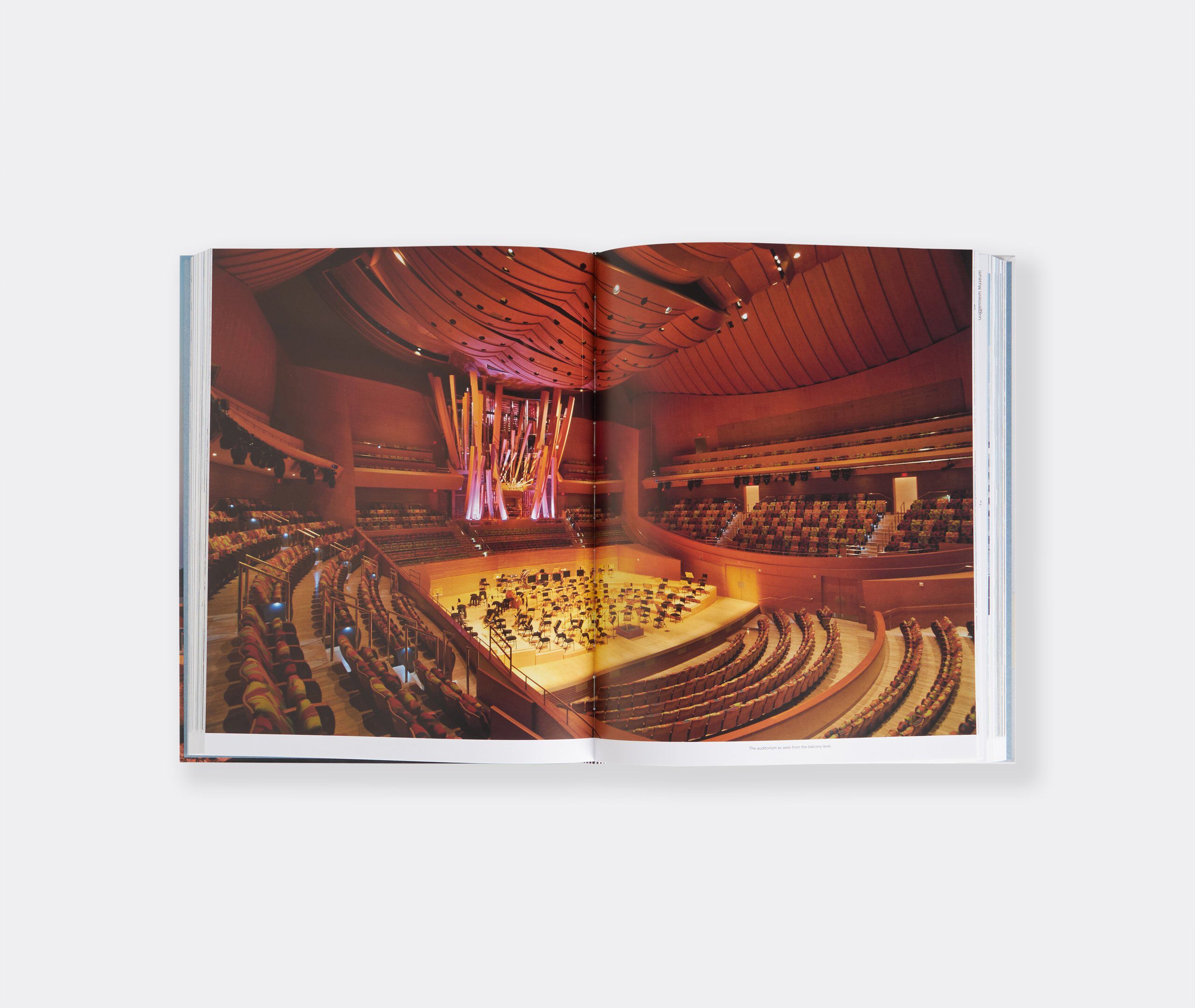 Frank Gehry: The Masterpieces' by Flammarion | Books | FRANKBROS