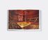 Flammarion 'Frank Gehry: The Masterpieces' Multicolor FLAM23FRA503MUL