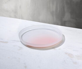 Nude 'Pigmento' serving dish, small PINK NUDE17PIG710PIN