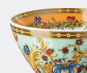 Rosenthal 'Jardin de Versace' bowl MULTICOLOUR ROSE23JAR633MUL