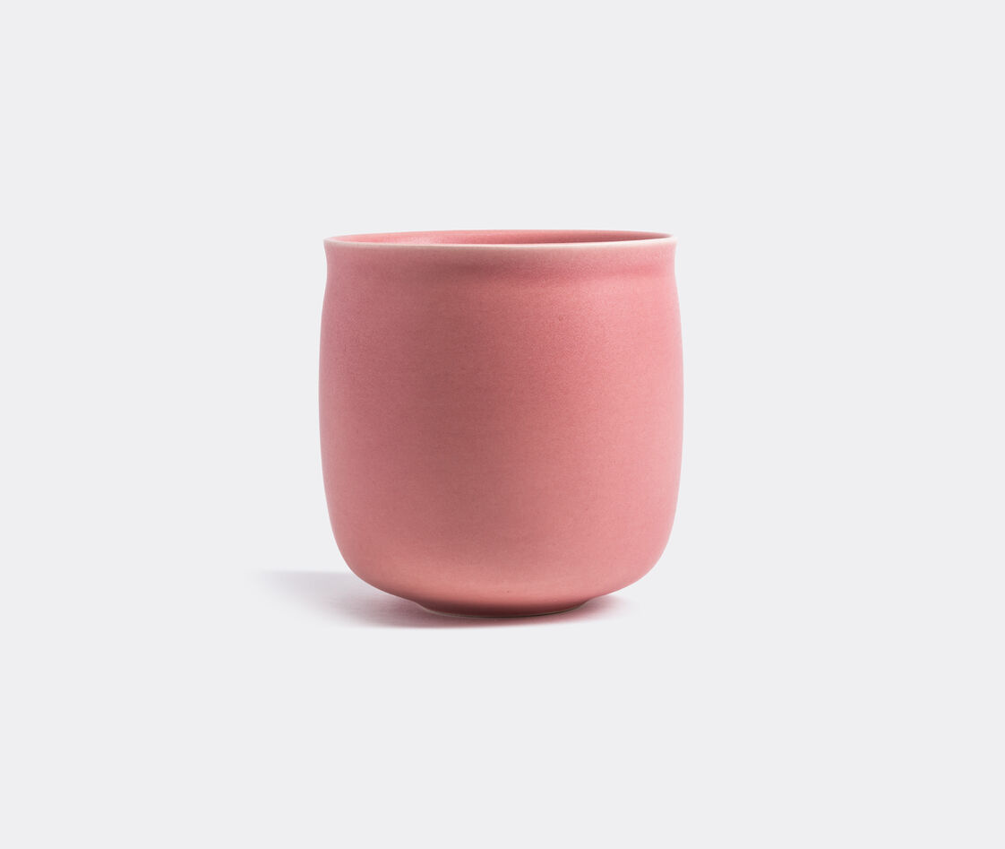 Raawii Vase In Young Rose