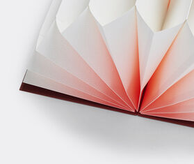 Hay 'Pliss&eacute;' archive folder, pink fade PINK HAY120PLI405PIN