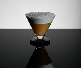 Tom Dixon 'Puck' cocktail glass, set of two MULTICOLOUR TODI20PUC433TRA