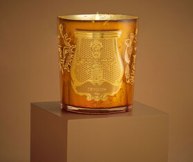 Trudon 'Spella' candle, small YELLOW CITR22SCE408YEL