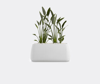 Diabla 'Gobi 5' planter WHITE DIAB20GOB307WHI
